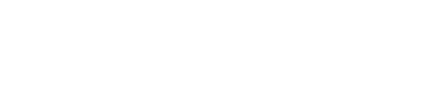 Netaş